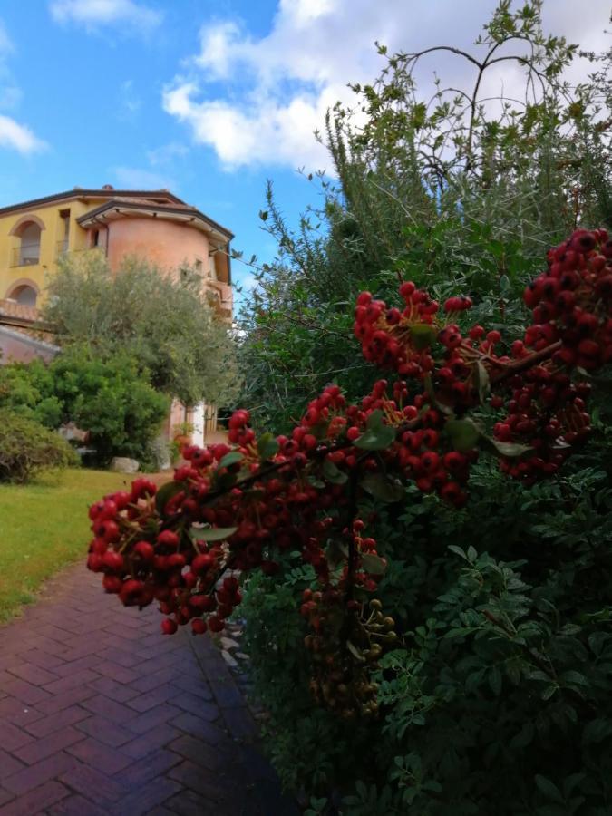 Locanda Tipica Sa Corte โอเลียนา ภายนอก รูปภาพ