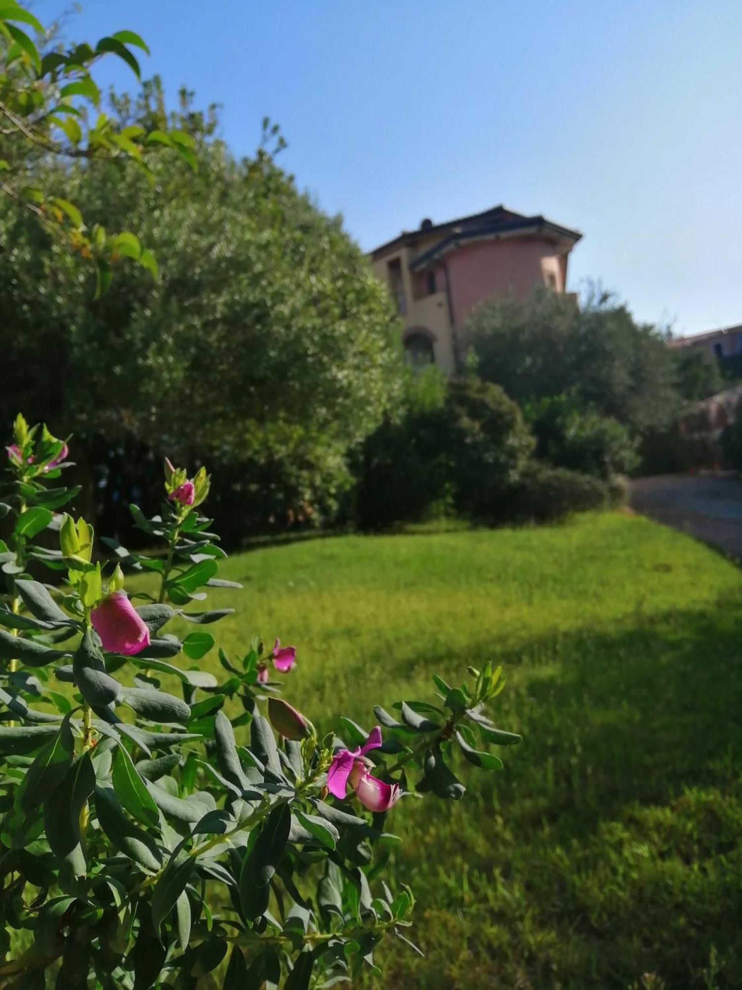 Locanda Tipica Sa Corte โอเลียนา ห้อง รูปภาพ